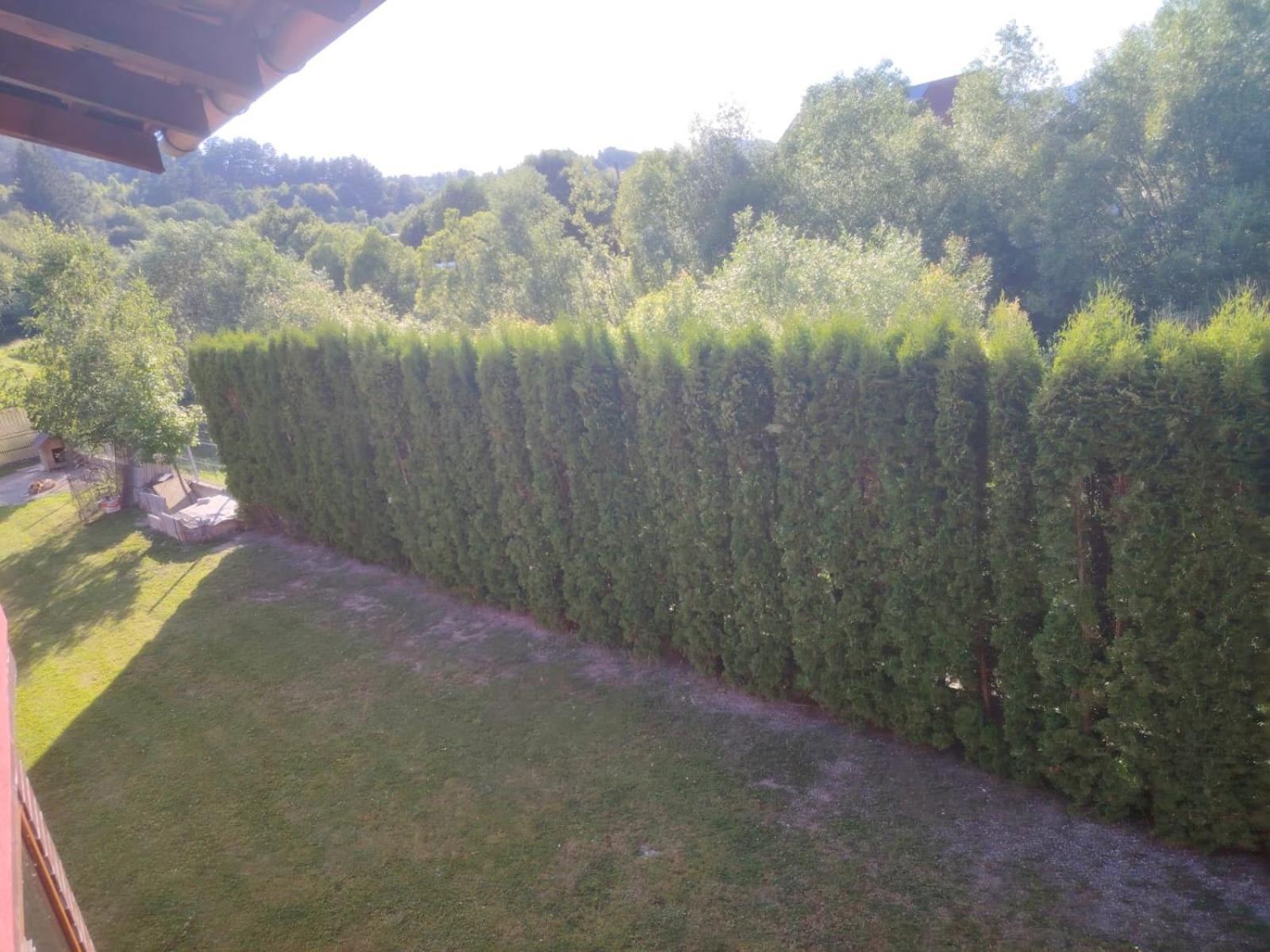 Pensiunea Floro Întorsura Buzăului Extérieur photo